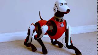 KiE a K9 Robot Dog