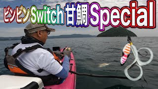 ビンビンSwitch甘鯛Specialでアマダイ狙いの大分遠征！　カヤックフィッシング