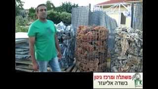 גן האבן - איך לעצב גינה יפהפיה וחסכונית במים באמצעות שימוש באבנים למסלעות, חיפויים, שבילים ועוד