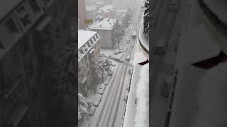 თოვლი ბათუმში ❄️Snow in Batumi