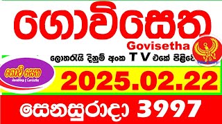 Govisetha 3997 2025.02.22 Today nlb Lottery Result අද ගොවිසෙත දිනුම් ප්‍රතිඵල  Lotherai dinum anka