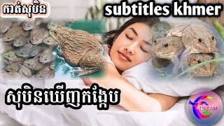 សុបិនឃើញសត្វកង្កែប(subtitles khmer)_@សុបិនDream