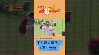 【美声と快音を響かせて！】中村健人 今季初１軍合流【97年組がそろうまであと1人】#shorts #カープ #中村健人 #金鯉チャンネル