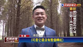 落羽松黃轉綠變色中 新人拍婚紗取景－民視新聞