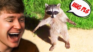 Extreme TRY NOT TO LAUGH CHALLENGE! (Impossible)