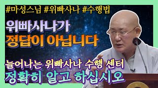 마성스님이 위빠사나는 정답이 아니라 말하는 이유