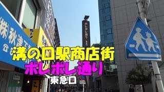 【街並み】溝の口駅　ポレポレ通り(東急口）を歩いてみました。（撮影 2014/03）