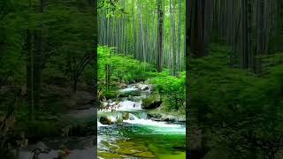 Natural 4k video beautiful nature HD video 😲 WhatsApp status full screen HD status