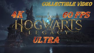 Hogwarts Legacy - Collectibles Showcase - All  gears (with soundtrack)