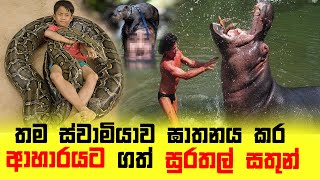 තම ස්වාමියාව ආහාරයට ගත් සුරතල් සතුන් Pets that have eaten their master|thorathuru|තොරතුරු