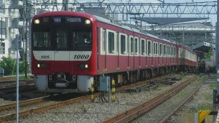 京急線99S快速京急川崎↔︎小島新田行き1177と都営浅草線5517-8、99S普通三崎口行き1444、11Dエアポート急行羽田空港行き1808+1893-4！スズメさんとクラゲ、紫陽花、黄梅の花！