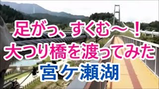 ゆらゆら揺れる宮ケ瀬湖の大つり橋 ！見た目より怖い！