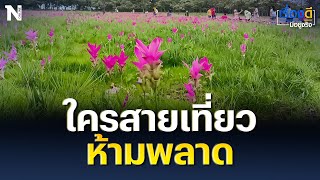 ใครสายเที่ยวห้ามพลาด | เรื่องดีมีอยู่จริง