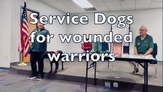 Service dogs for wounded warriors. American culture community support services.