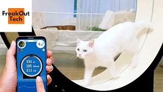 5 Useful Cat Gadgets You Never Knew About