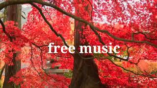 free music #no copyright music #RP vlog