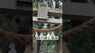 金持神社　#shorts  #神社巡り  #パワースポット　#癒し　#開運