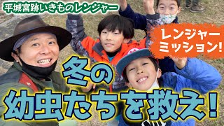 【平城宮跡】みんなで冬のちょうちょをみつける！いきものレンジャー  2022年12月 前編