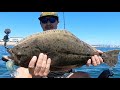 They are Biting | San Diego Bay