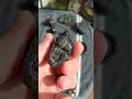 nuummite crystal greenland very rare with red ruby and phantom quartz.