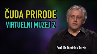 Tomislav Terzin - ČUDA PRIRODE