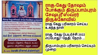 திருப்பாம்பரம்-தென் காளகஸ்தி ராகு-கேது பரிகாரம் செய்யும் முறை|RahuKetu Peyarchi Parihara Stalam