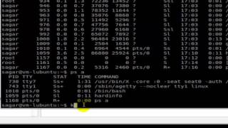 how to kill process in Linux Mint