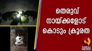 വീട്ടിൽ വളർത്തുന്നവയുൾപ്പെടെ പത്തോളം നായ്ക്കളെ വിഷംകലർന്ന ഭക്ഷണം നൽകി കൊന്നു. | Kairali News