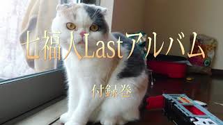 福山発　七福人Lastアルバム　～4年間活動の軌跡～　特別付録巻①