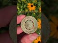 Early 1800’s coins found metal detecting! #metaldetecting #coins #relics #history #treasurehunting