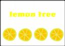 Lemon Tree  Fools Garden