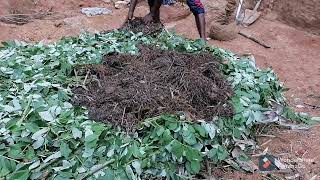 Best way to make #Compost #කොම්පෝස්ට් නිසි අයුරින් සෑදීම. #srilanka. #planting #Umandawa