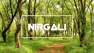 AMAZING Beautiful Nature Of Vangaon | Nirgali