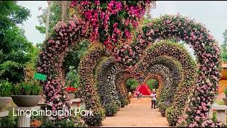 Mysuru flower show, Lingambudhi park,