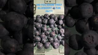 DID YOU KNOW THIS? BLUEBERRY FUN FACT!  🫐