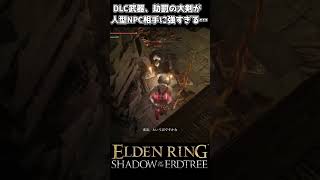 【エルデンリング DLC】しろがね人が劫罰の大剣を手にした結果… #eldenring  #エルデンリング