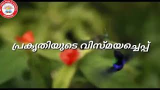 Class lV പ്രകൃതിയുടെ വിസ്മയച്ചെപ്പ് Part 3