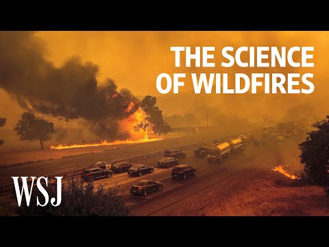 What factors can influence the impacts of fires?