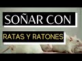 Soñar con RATAS Y RATONES - Qué significa soñar con RATAS Y RATONES - Significado de los sueños