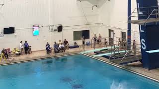 USA Diving Regionals 303C