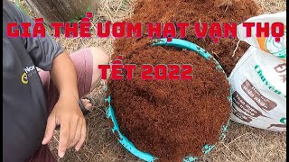 Giá thể chuẩn bị gieo hạt vạn thọ || cách trộn giá thể chuẩn bị ươm hạt vạn thọ Tết 2022