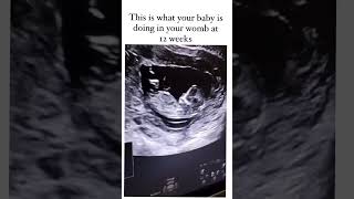 This is What You Baby is Doing in Your Womb at 12 Weeks | 3 Month Pregnancy | #pregnanvy