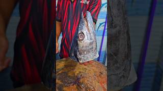 Surumai seerfish neymeen anjal head cutting skills #viralvideo #fishcuting #shorts #food #video