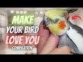 How to Make Your Cockatiel Bird Love You 💖 | Compilation