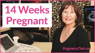 "14 Weeks Pregnant" by PregnancyChat.com @PregChat