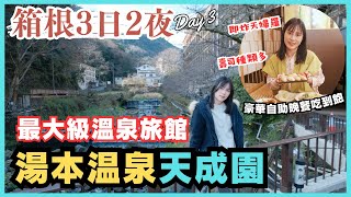 【箱根3日2夜】箱根湯本温泉天成園｜箱根最大級溫泉旅館♨️｜豪華自助晚餐吃到飽｜箱根周遊券之旅DAY3