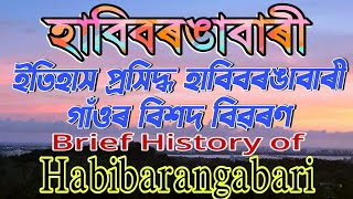 Habibarangabari - A Documentary || History of Habibarangabari || হাবিবৰঙাবাৰী || Kaustov Musical