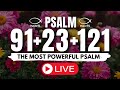 [🙏NIGHT PRAYER!] PSALM 91 PSALM 23 PSALM 121