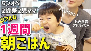 【簡単料理】2歳差ワンオペ2児ママが作るリアルな朝ごはん1週間分！0歳7ヶ月赤ちゃん・2歳イヤイヤ期【幼児食】【モーニング/朝食】