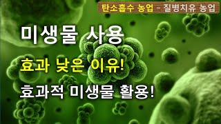 89강- 도시농업 전업농! 미생물 사용 문제 및 효과적 사용 방법